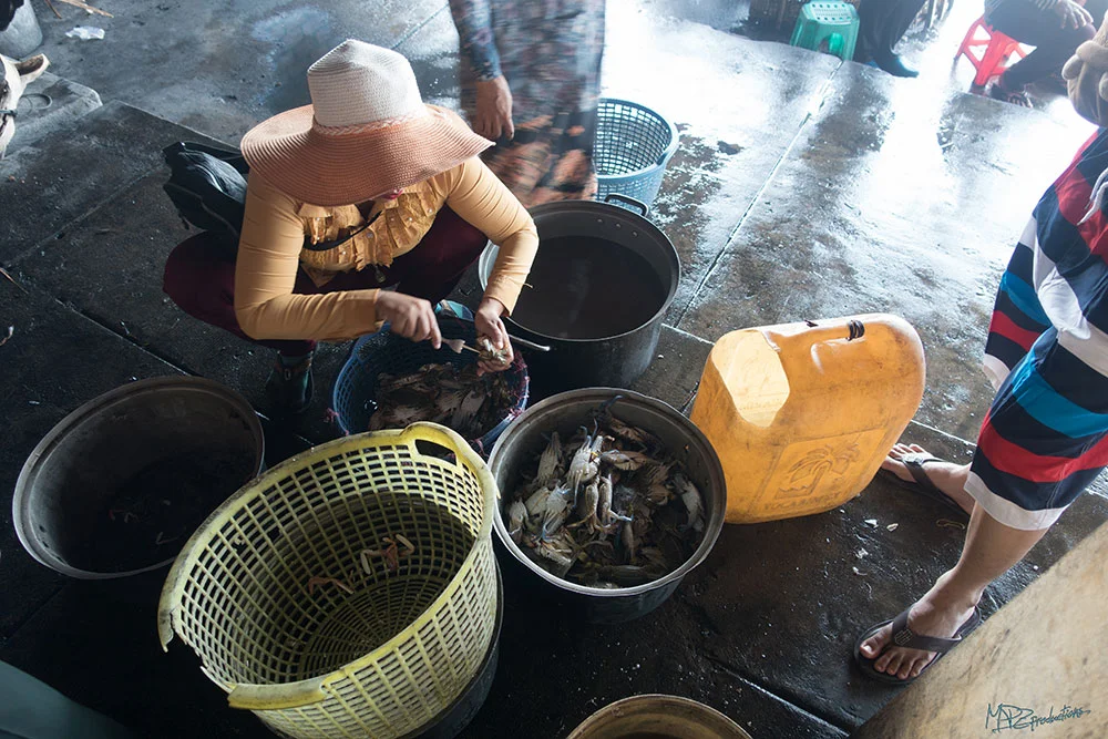 "Stunning" aka jabbing a sharp fork into the brain of the crabs before cooking. 