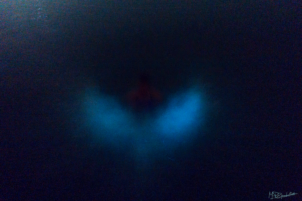 This was a hard shot to get but you can see the bioluminescence in the water. So cool. 