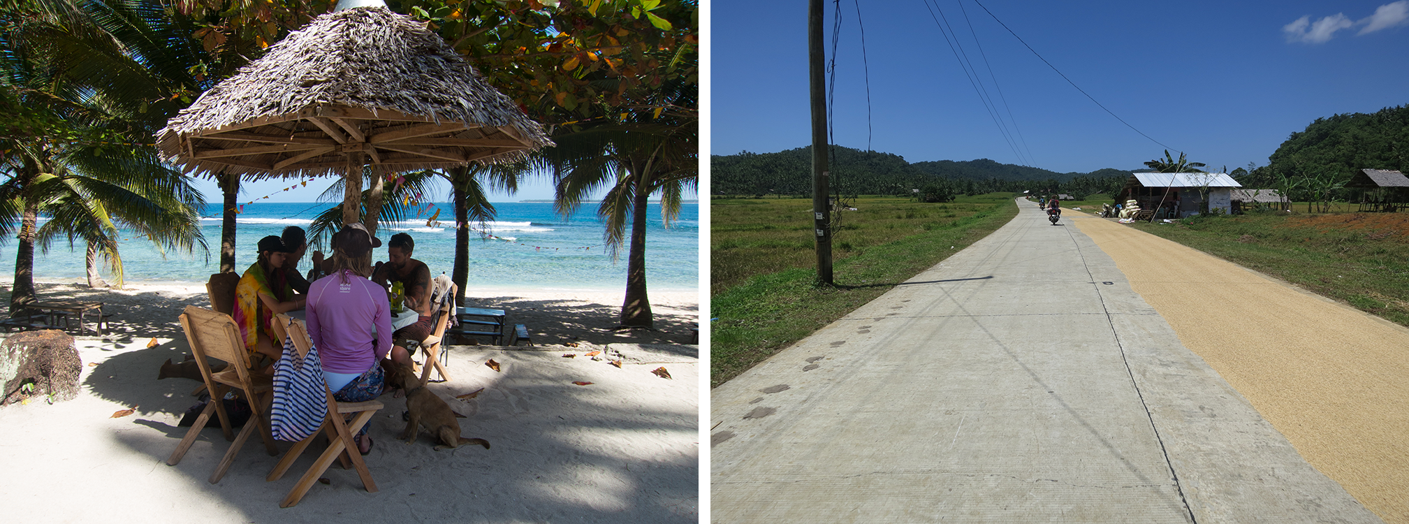 Right: Miles of drying roadside rice.