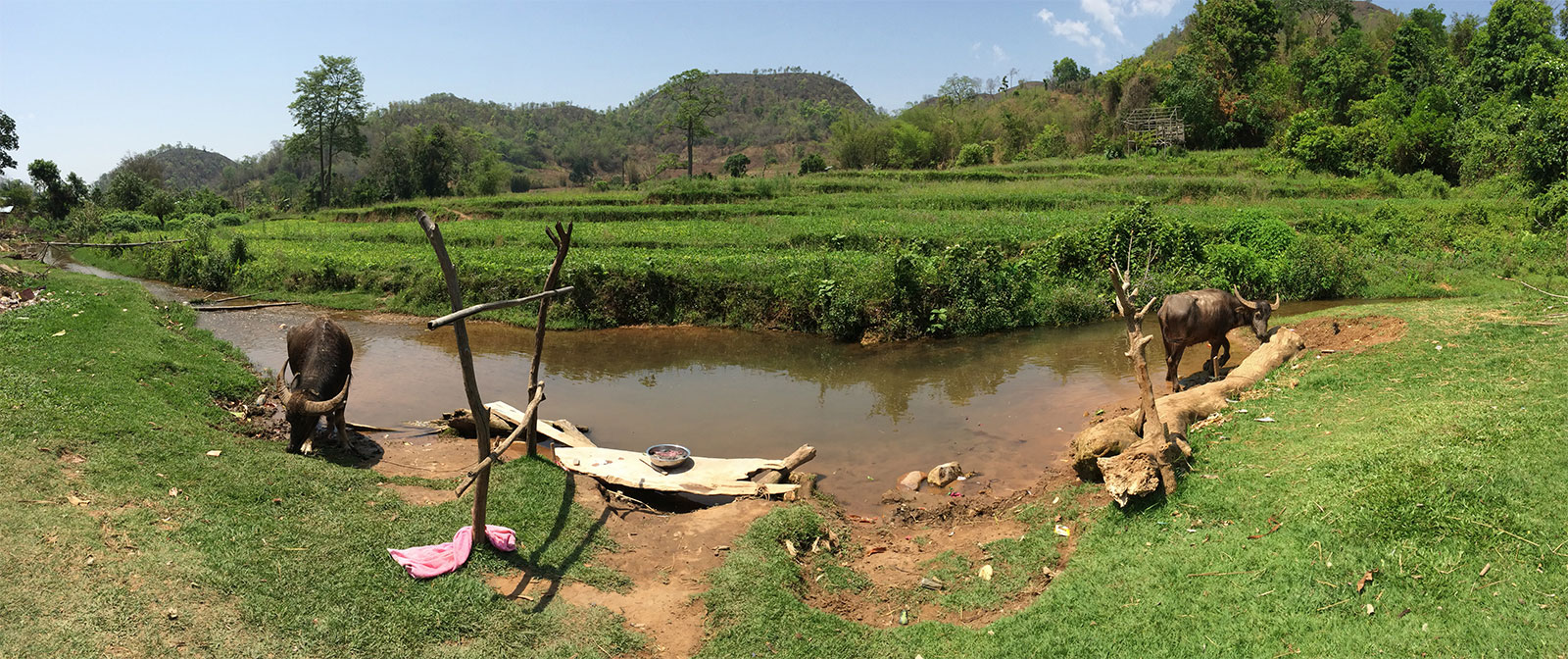 Yaks, the river and the countryside!