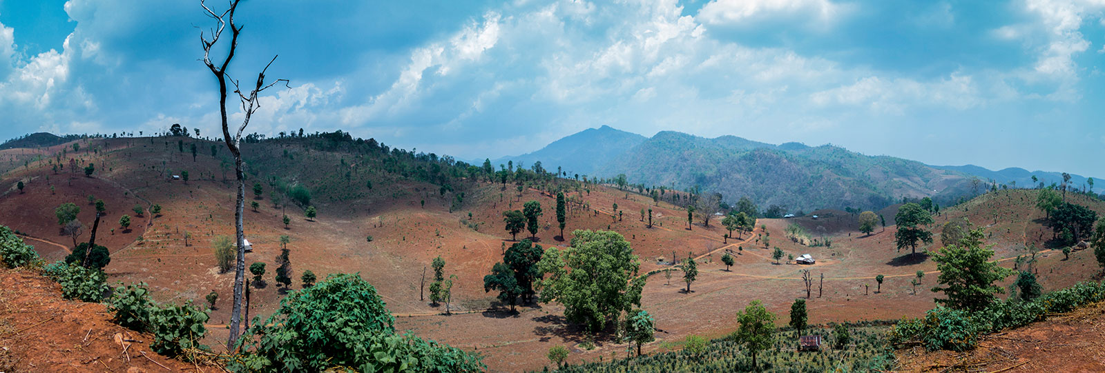 The barren landscape. 