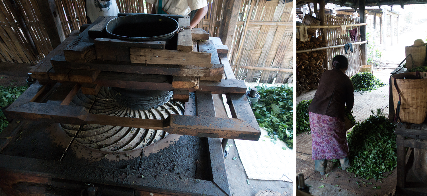 The tea grinder. We watched the whole process from steaming the tea, to grinding, to drying. 