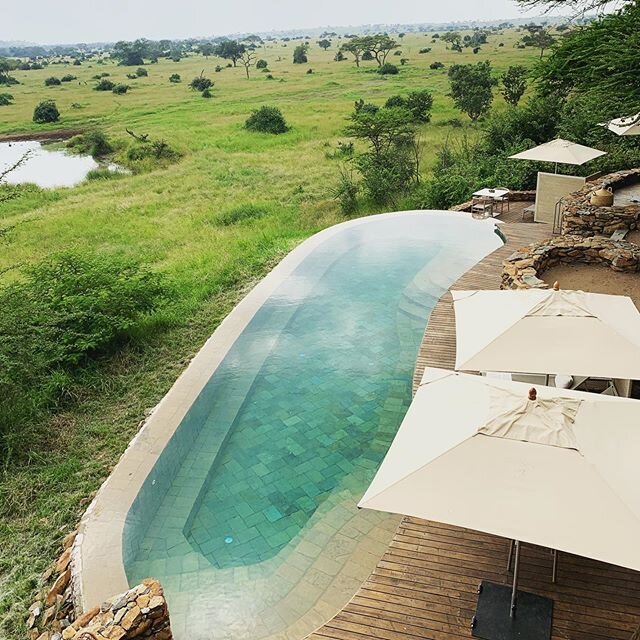 Bush days are the best days! #travel #travelafrica #africa #justgo #weareafeica #oursingita #love #bush #nature #experience #view #adventure #tanzania