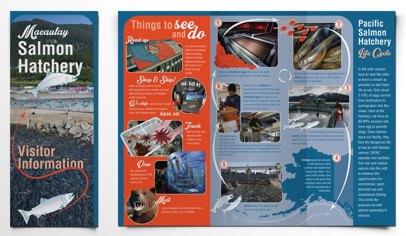 DIPAC_Brochure.jpg