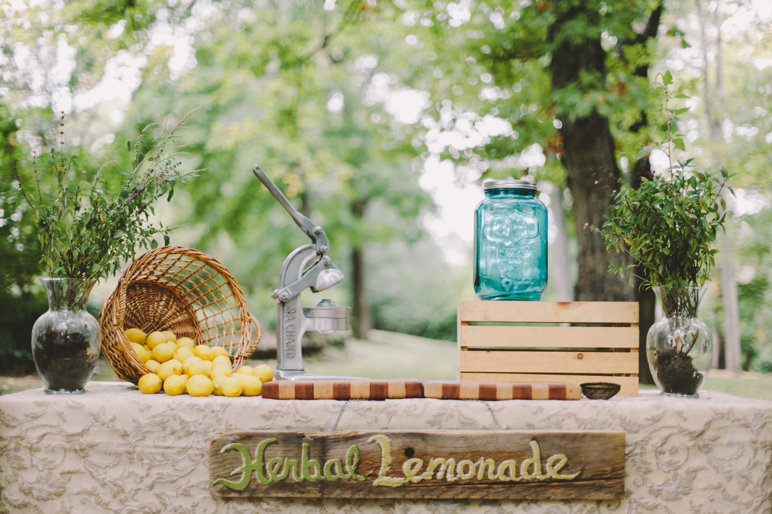 Lemonade-8.jpg