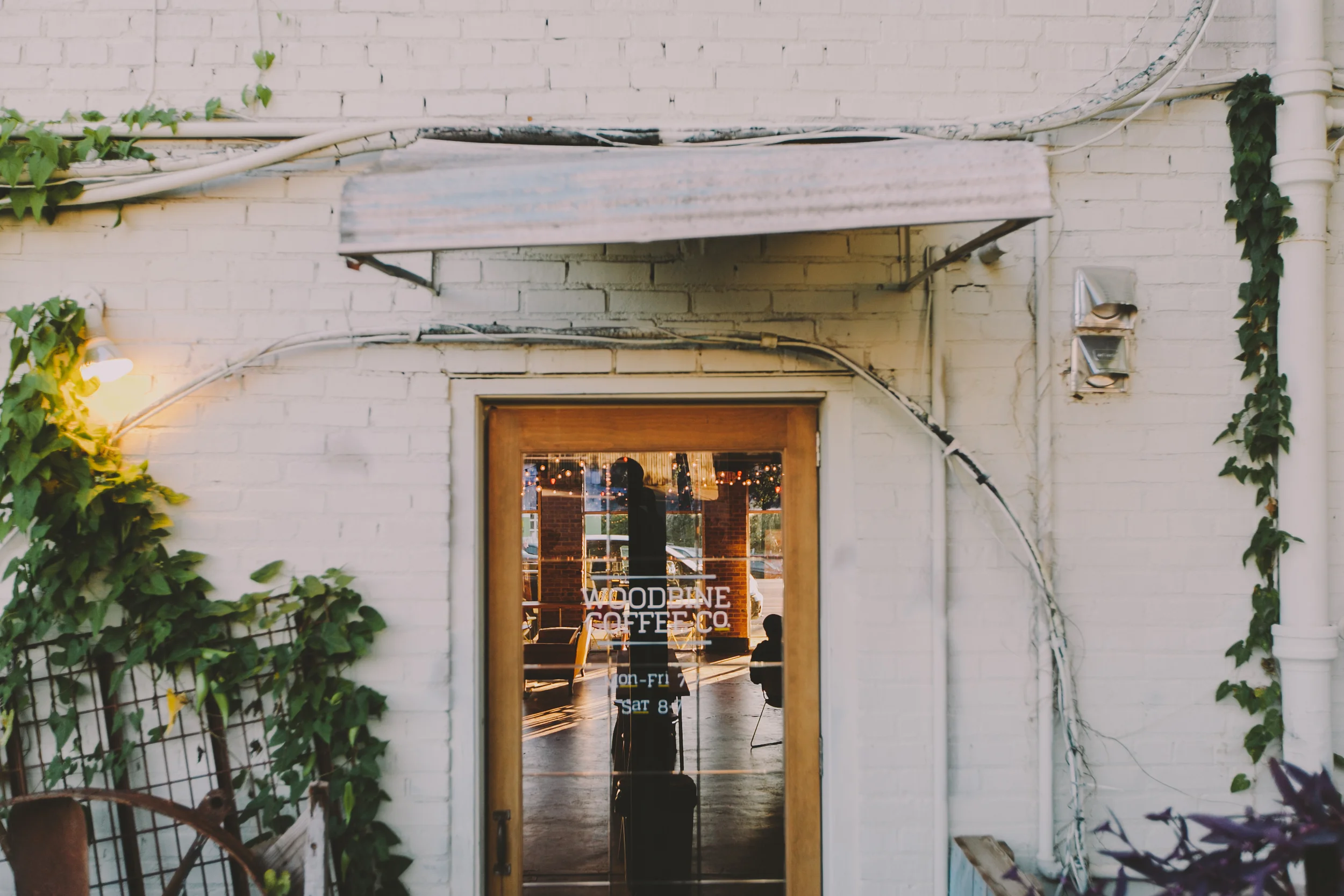 TLP (29 of 46).jpg