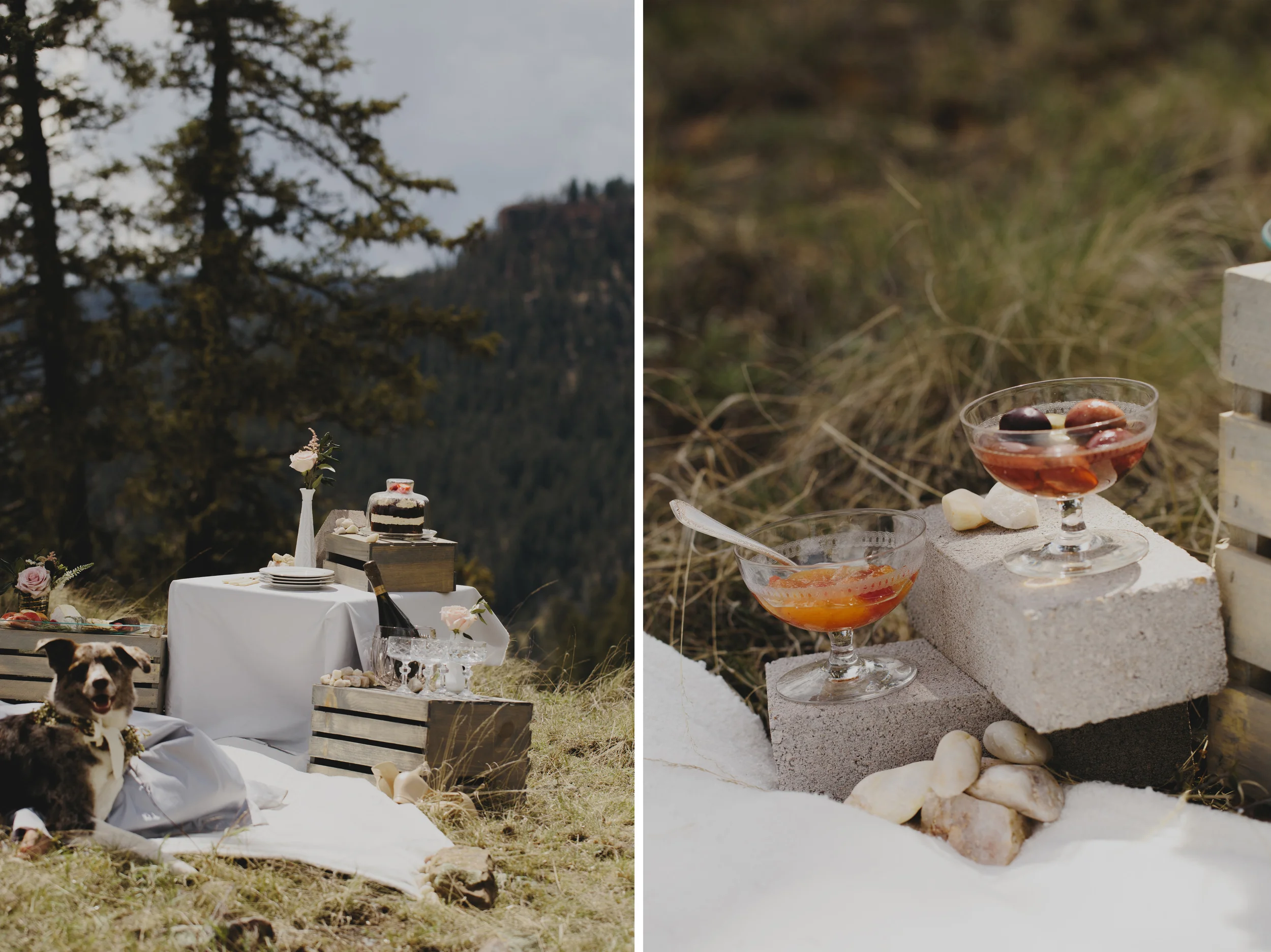 Diptych-17 copy.jpg
