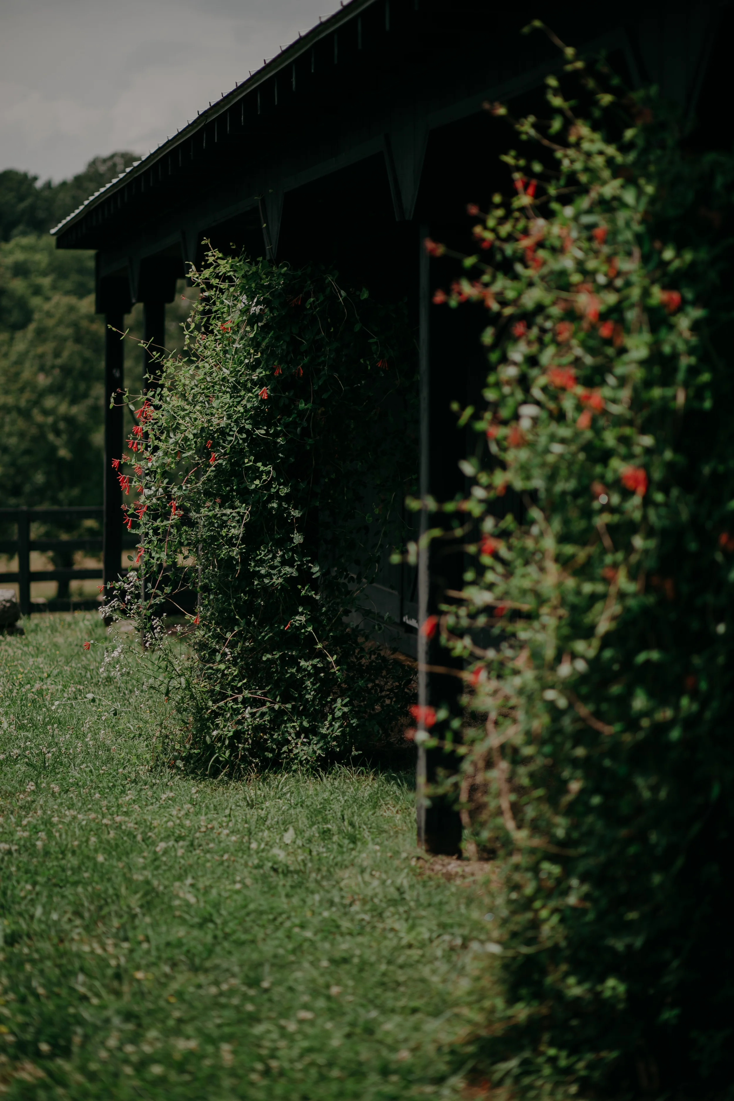 Photography Anthology - A+C (3 of 476).jpg