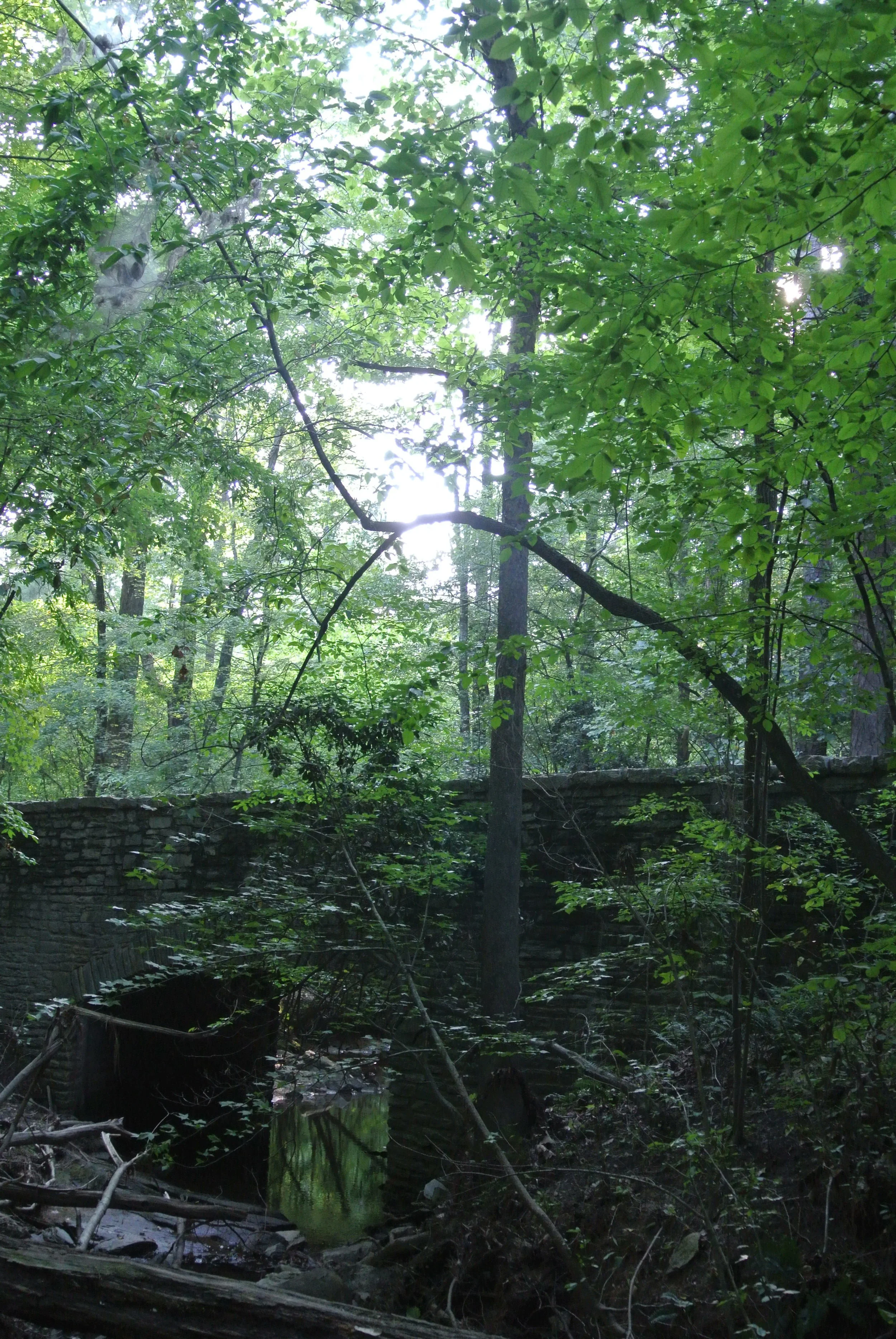 DSC_0208.JPG