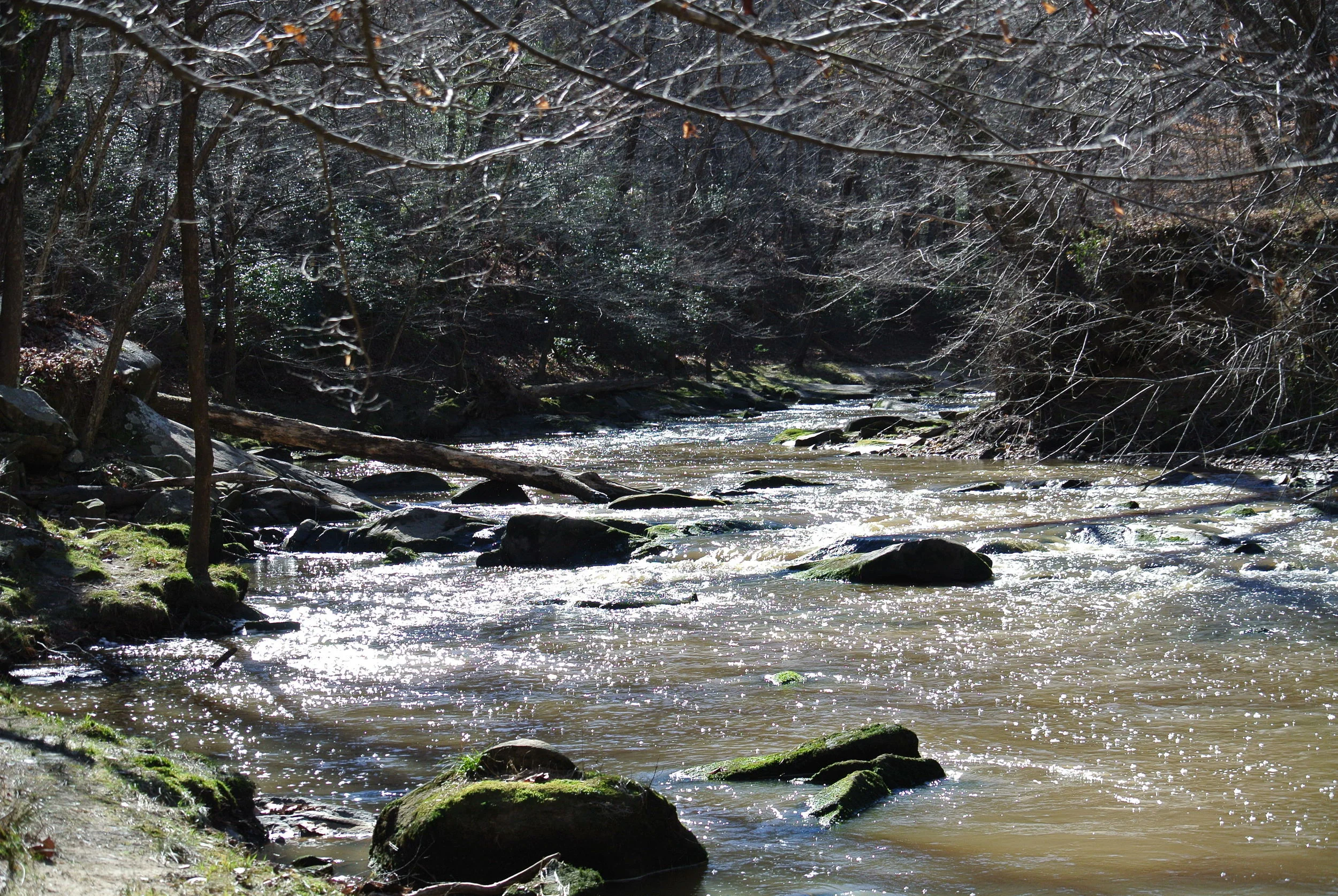 DSC_0670.JPG