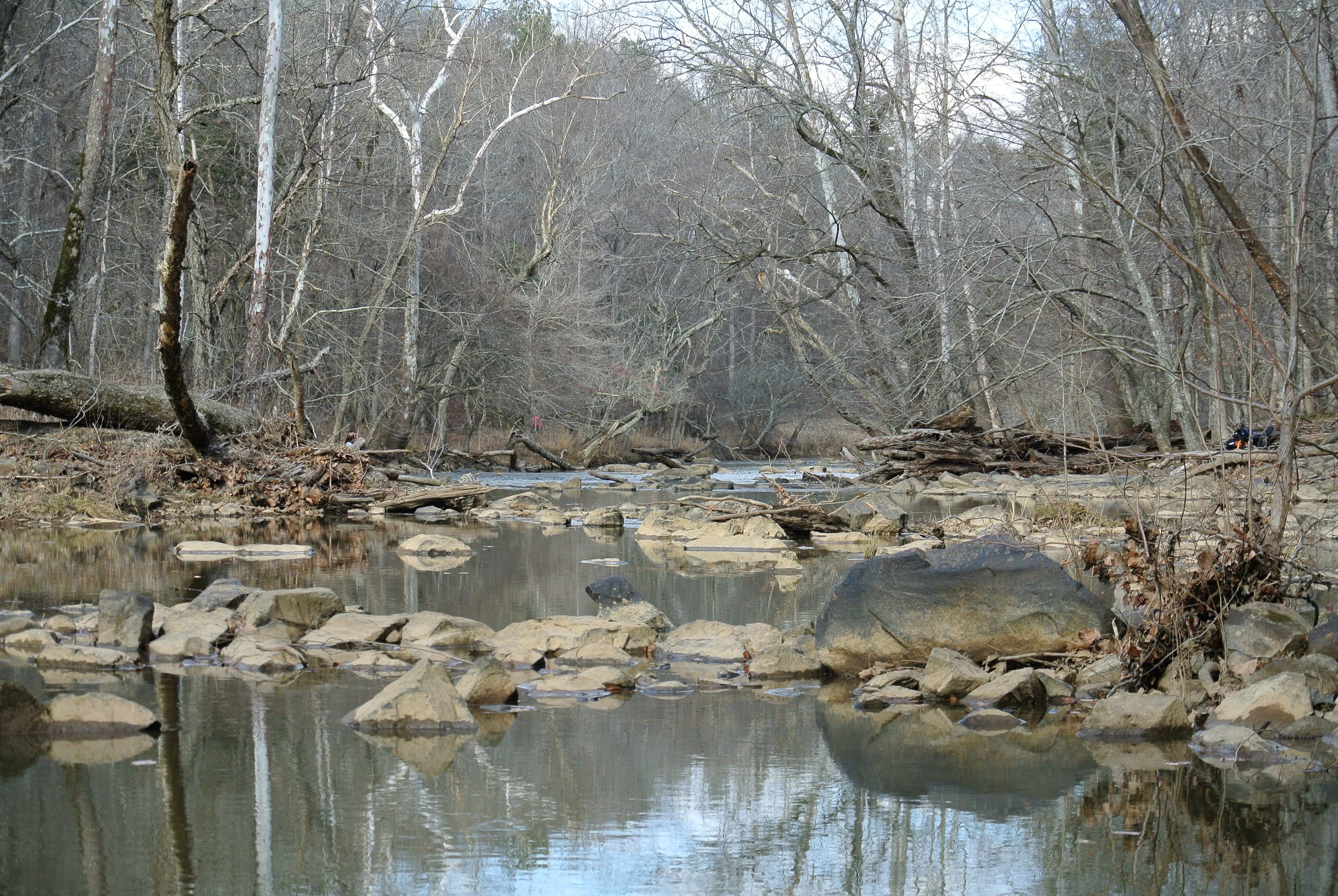 DSC_0730.JPG