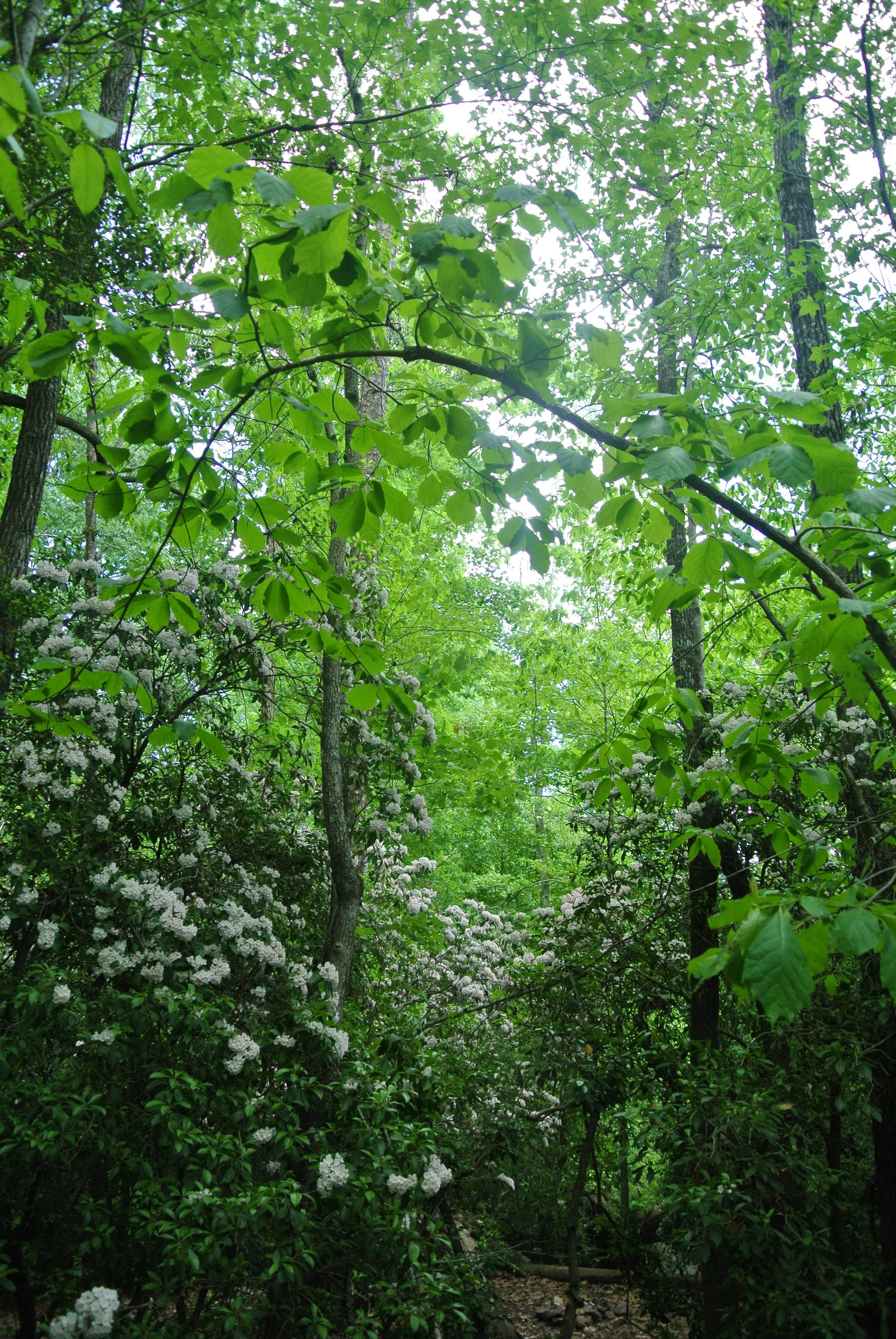 DSC_1058.JPG