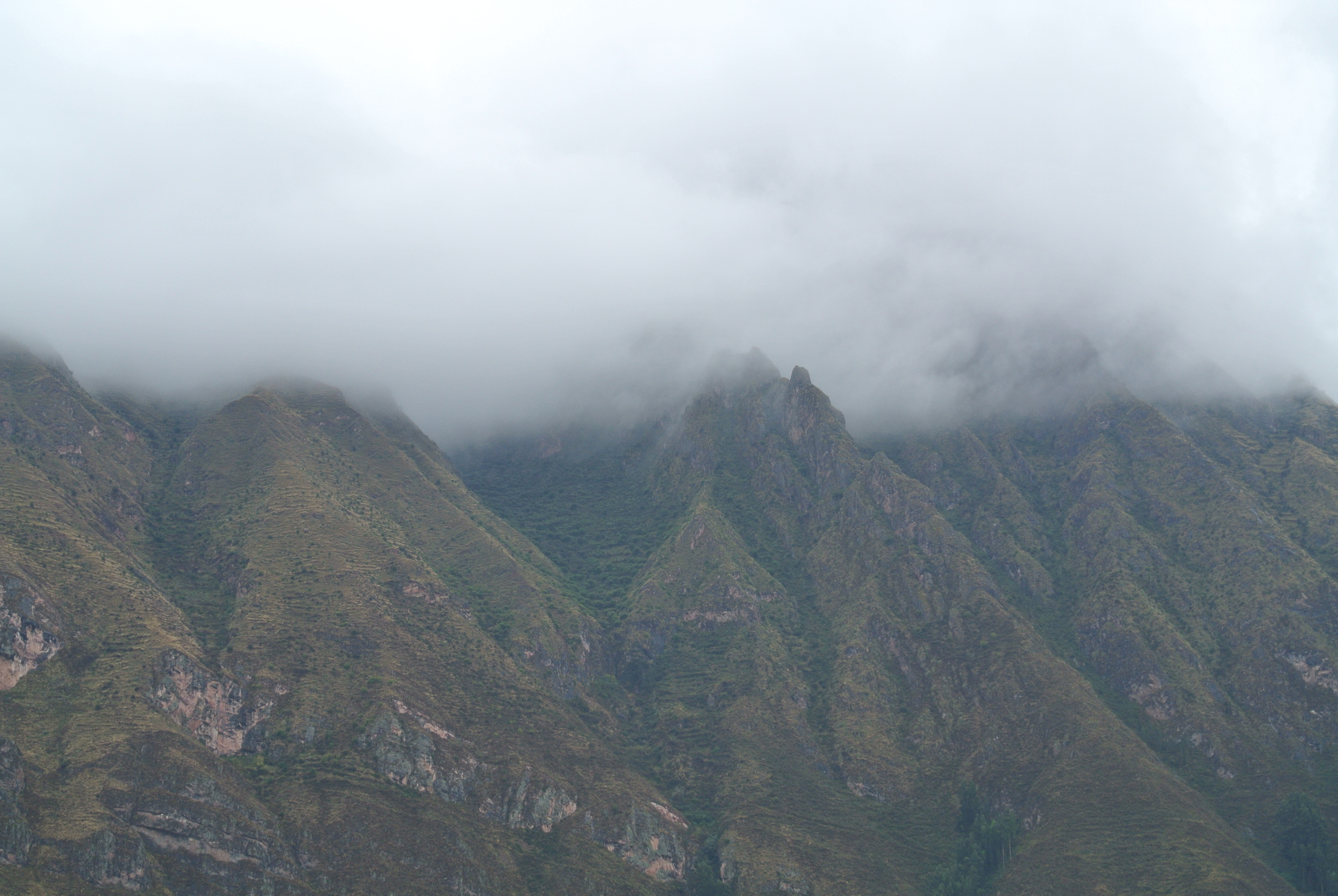DSC_1275.JPG