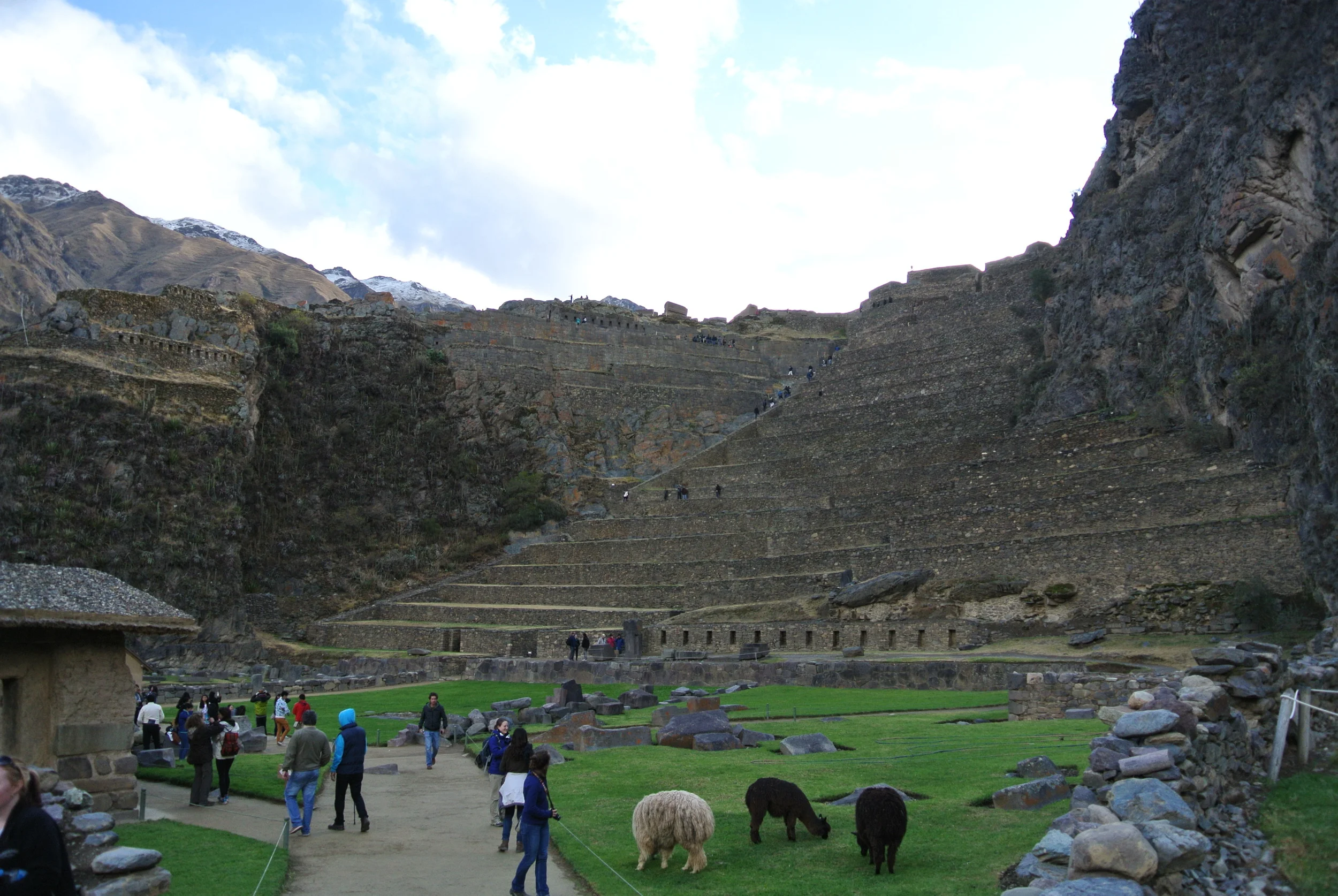 DSC_1346.JPG