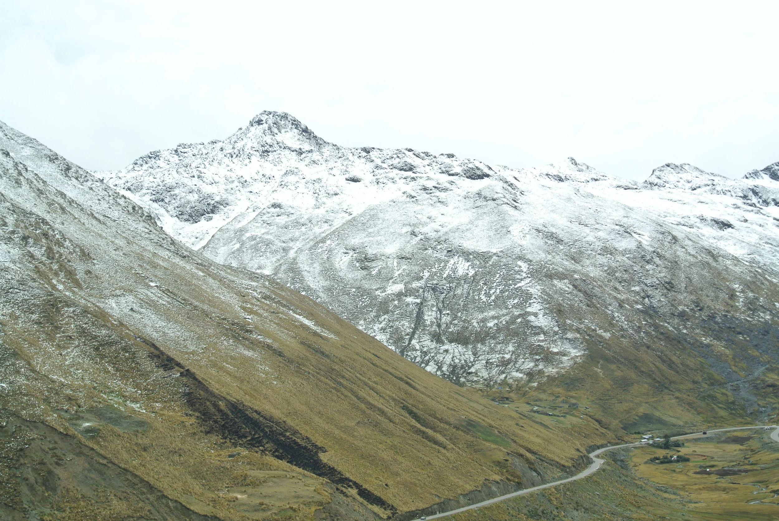 DSC_1390.JPG