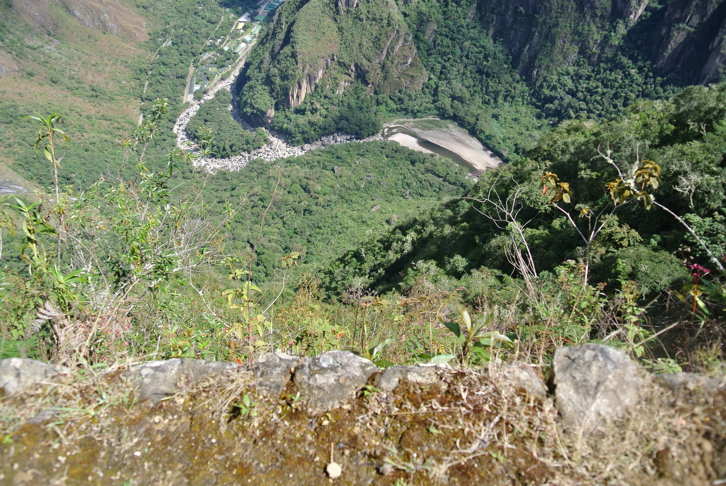 DSC_1549.JPG