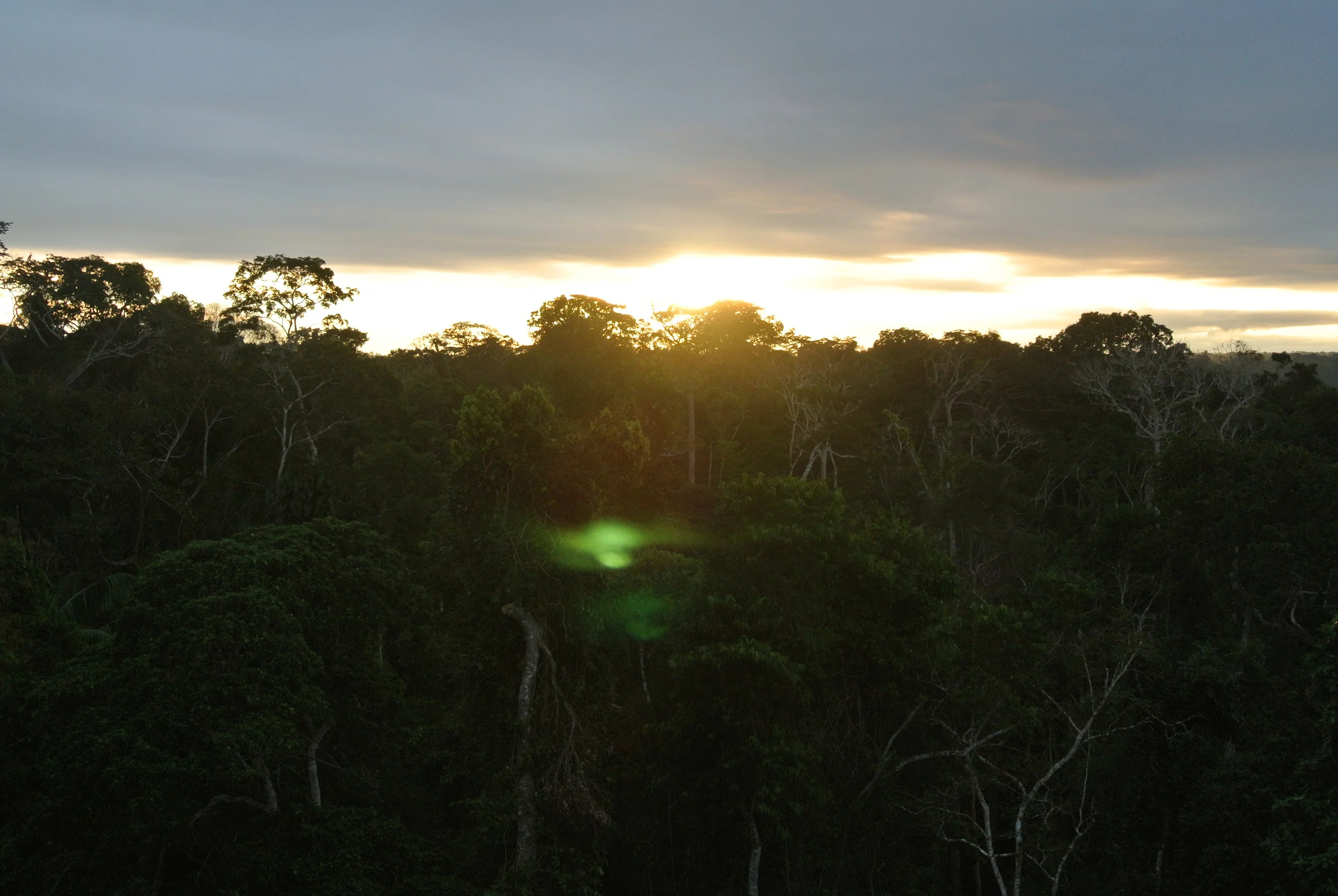 DSC_1585.JPG