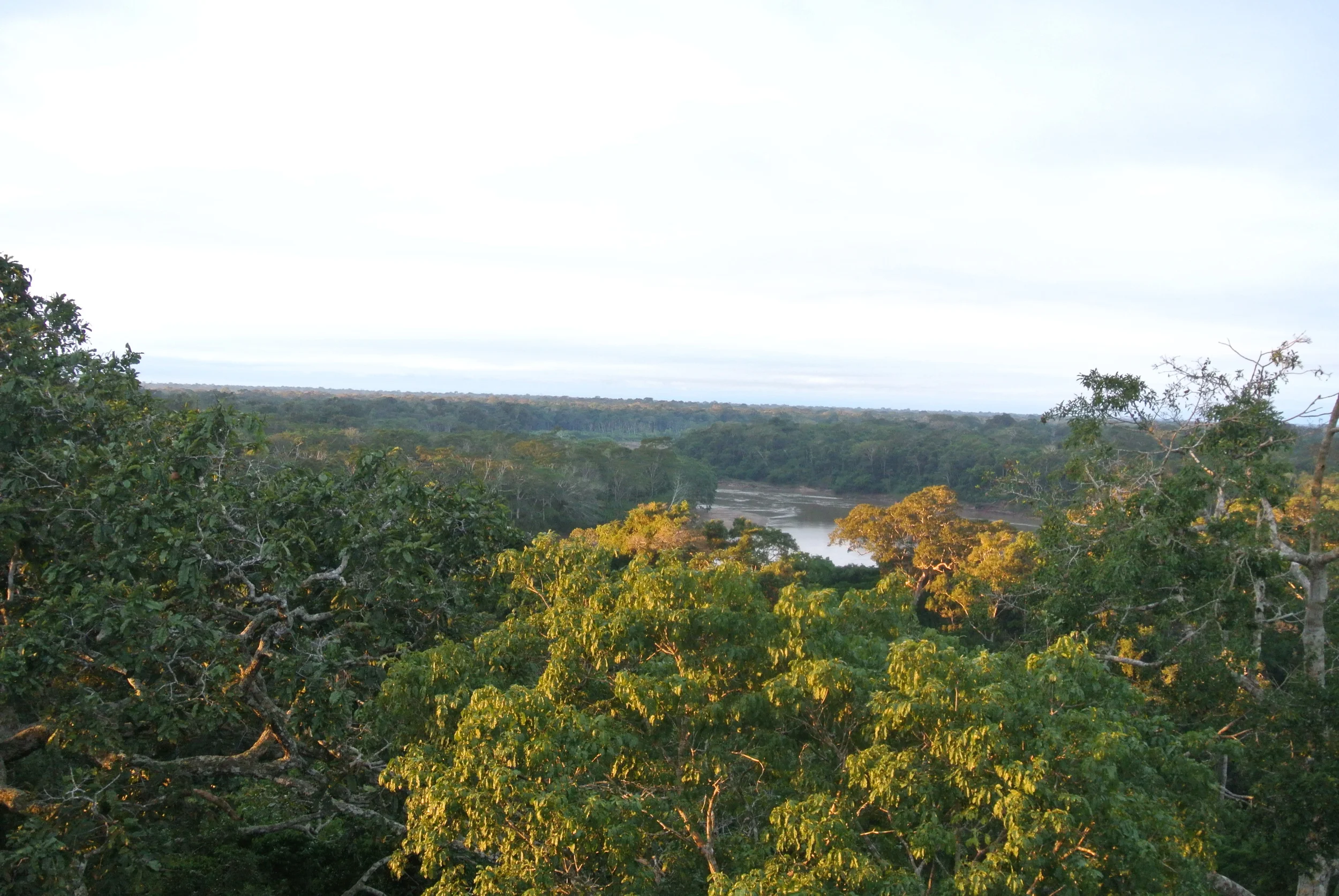 DSC_1587.JPG