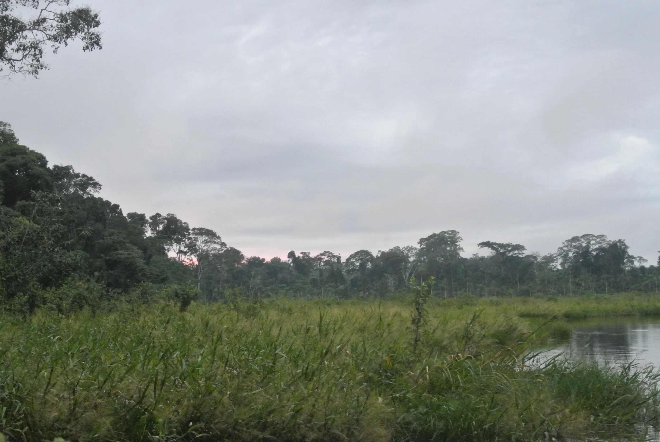 DSC_1618.JPG