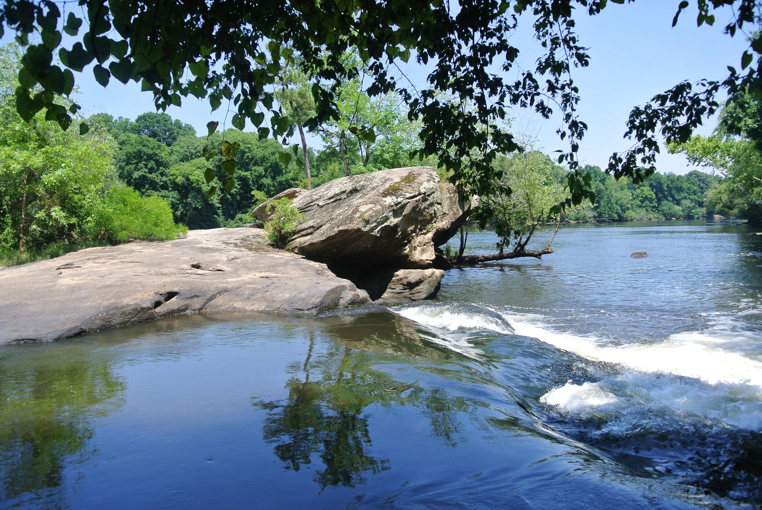 DSC_1857.JPG