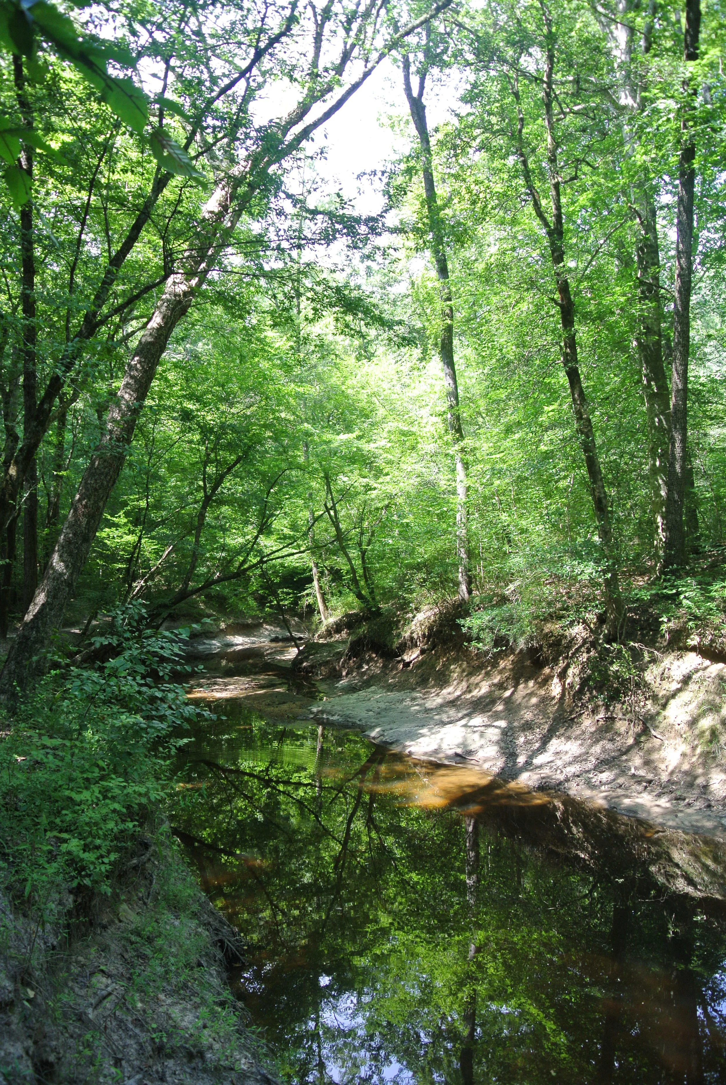 DSC_1874.JPG