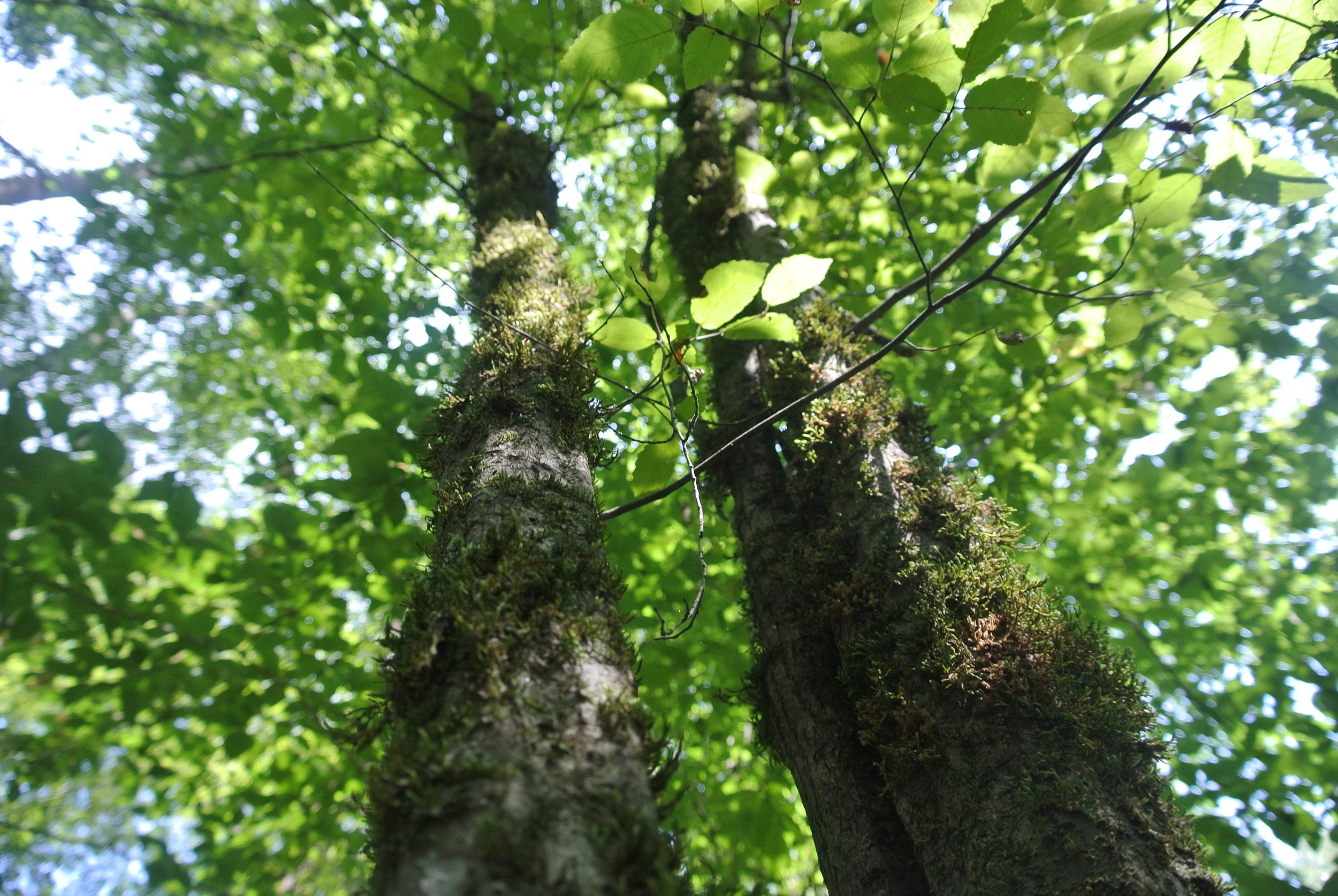 DSC_1878.JPG