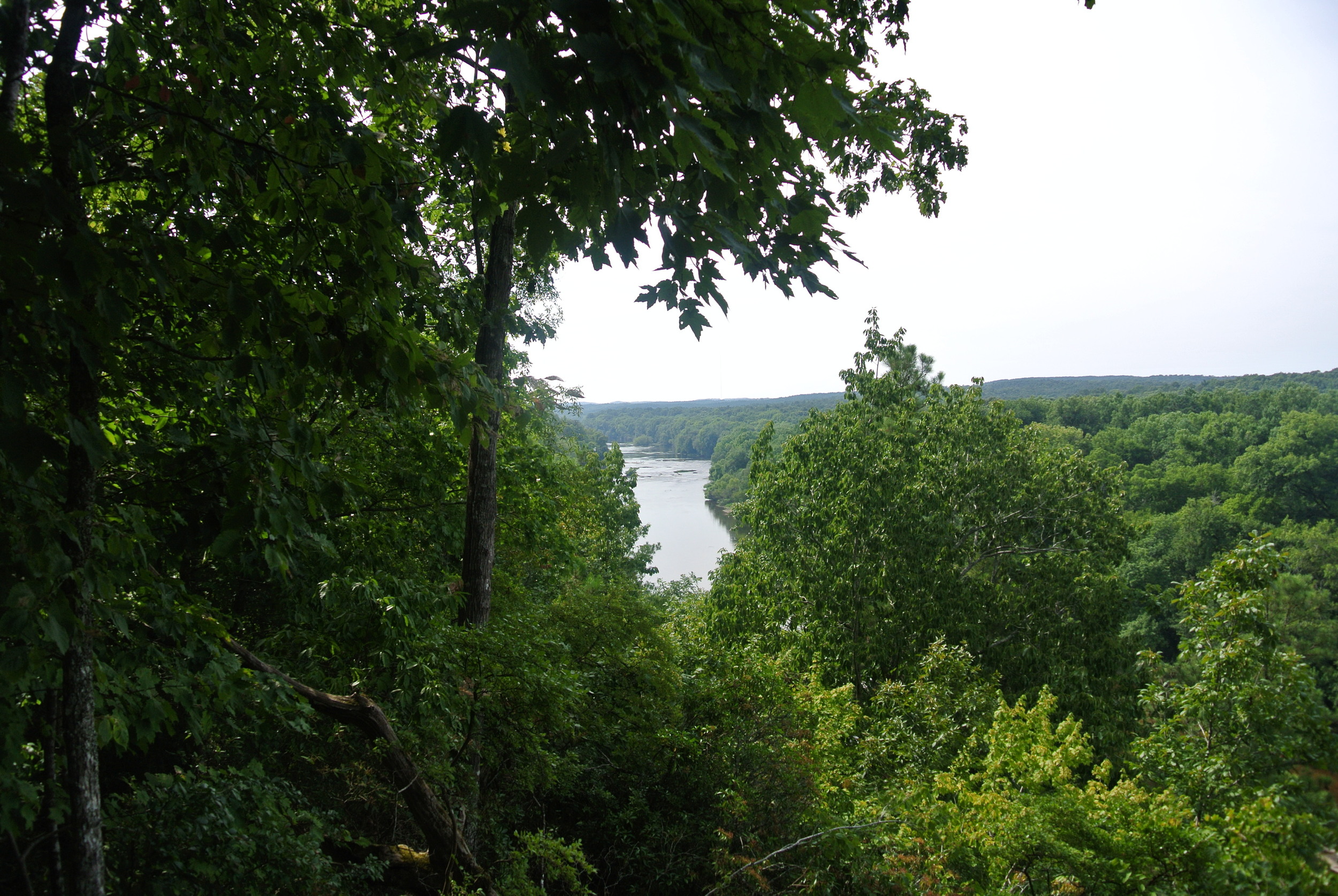 DSC_1894.JPG