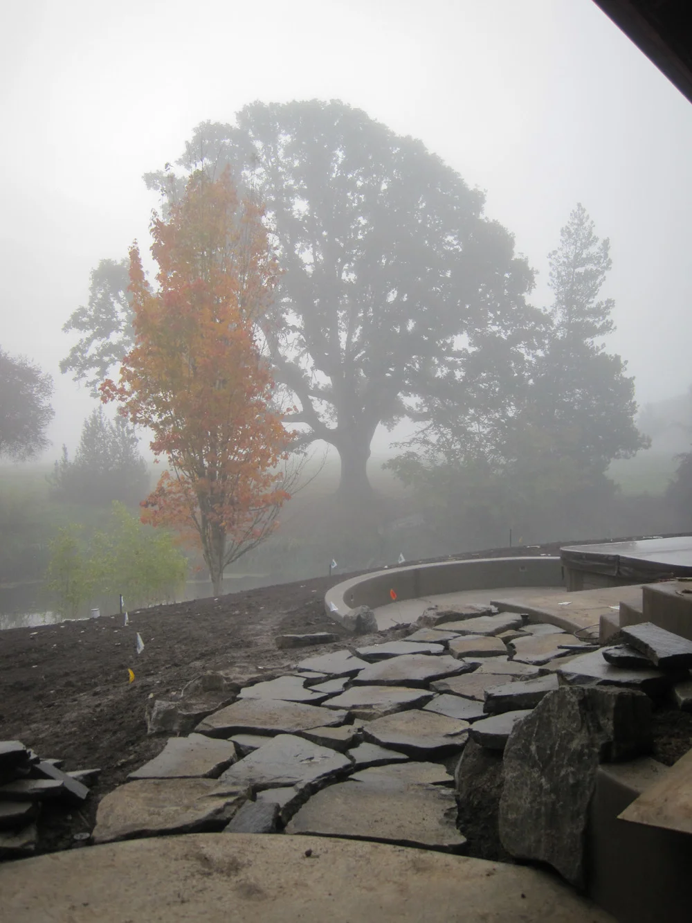 Bethany Rydmark Landscapes-5333.jpg