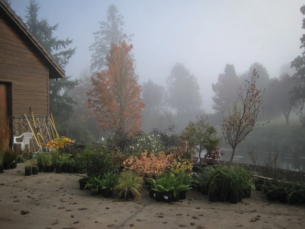 Bethany Rydmark Landscapes-5336.jpg