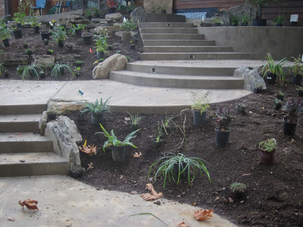 Bethany Rydmark Landscapes-5356.jpg