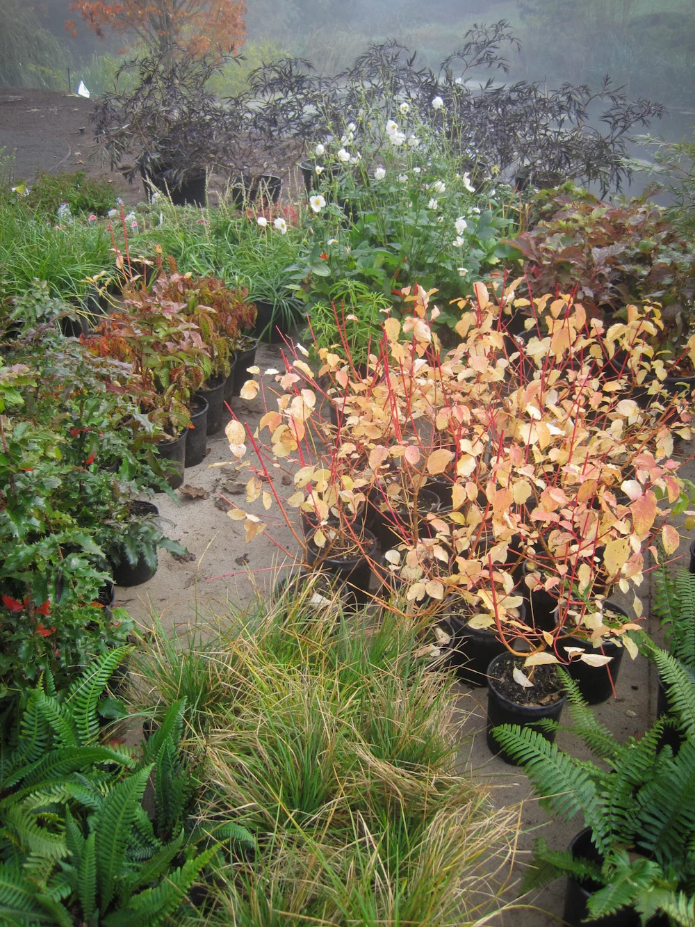 Bethany Rydmark Landscapes-5351.jpg