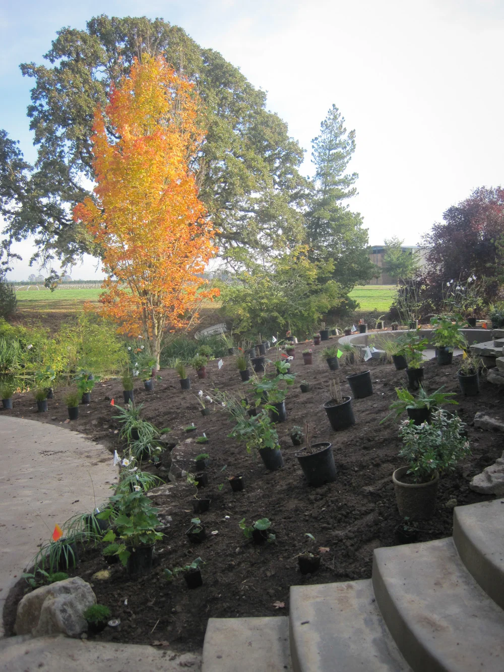 Bethany Rydmark Landscapes-5366.jpg