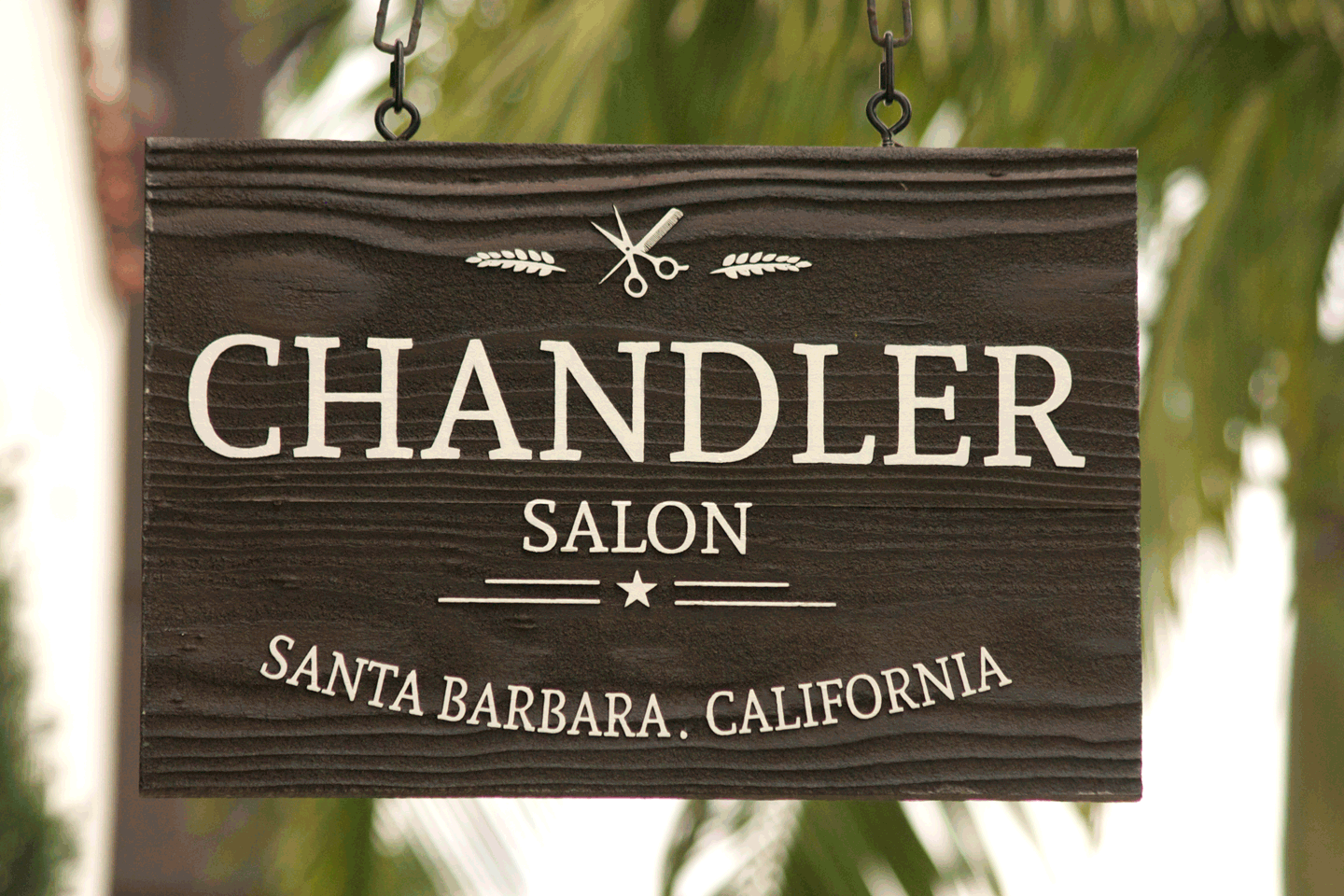 Chandler Salon