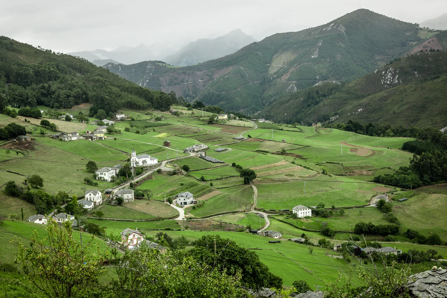 SP13_0103_LR 72-90 1500w.jpg