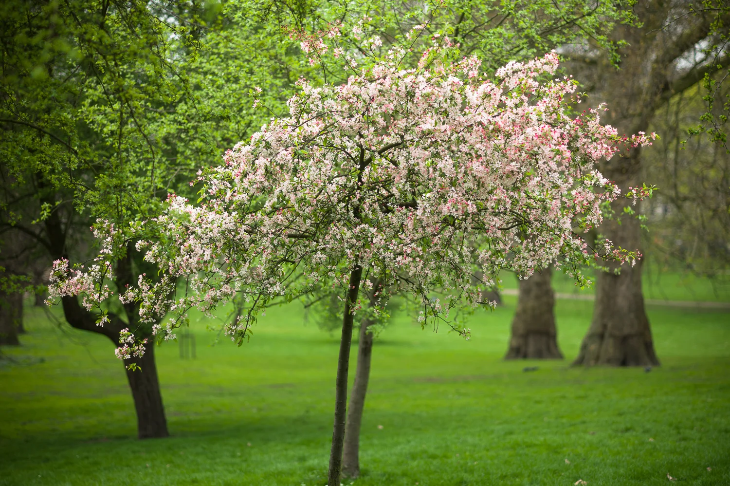 LP14_073_LR 72-90 1500w.jpg