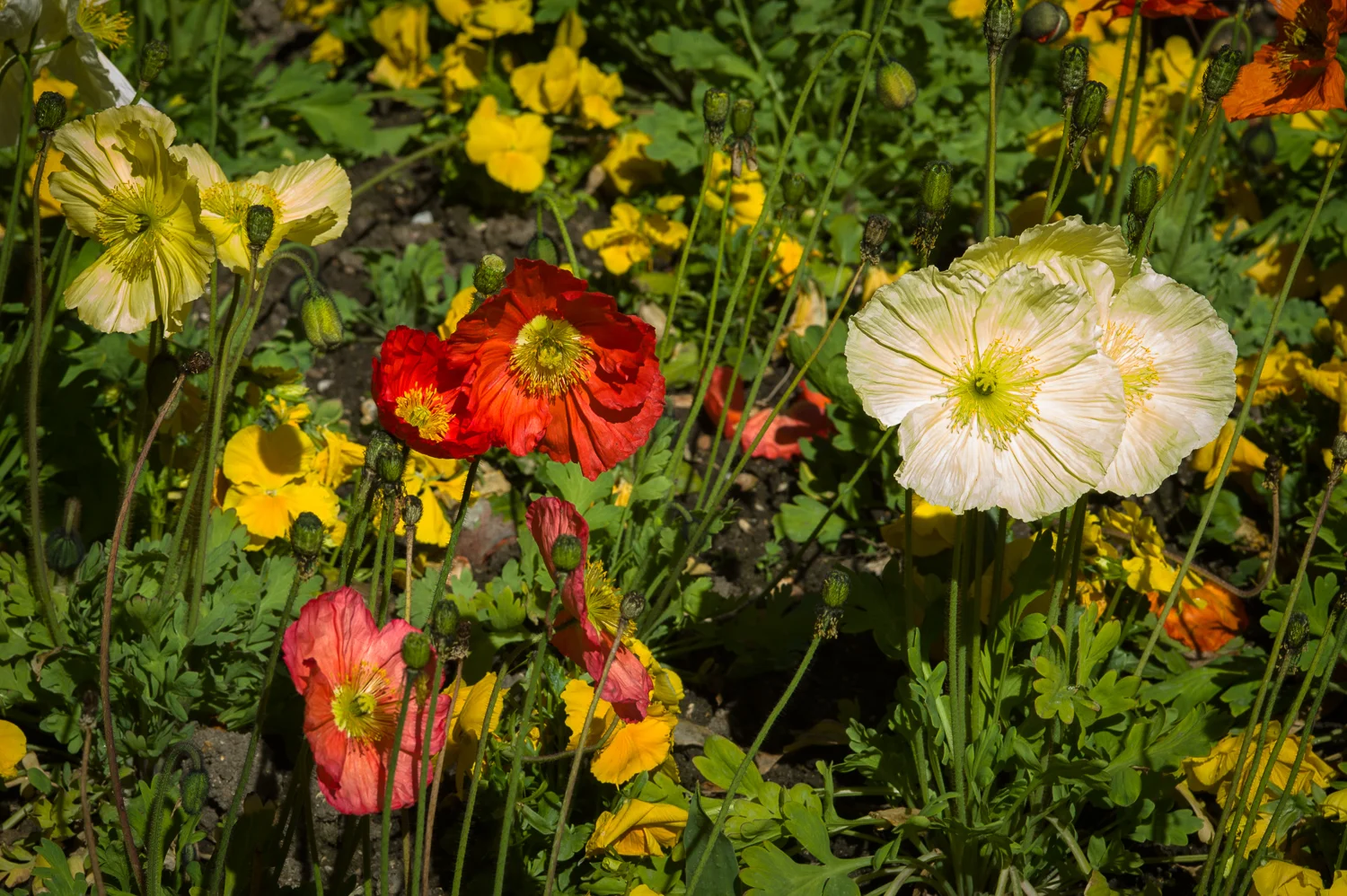 LP14_317_LR 72-90 1500w.jpg