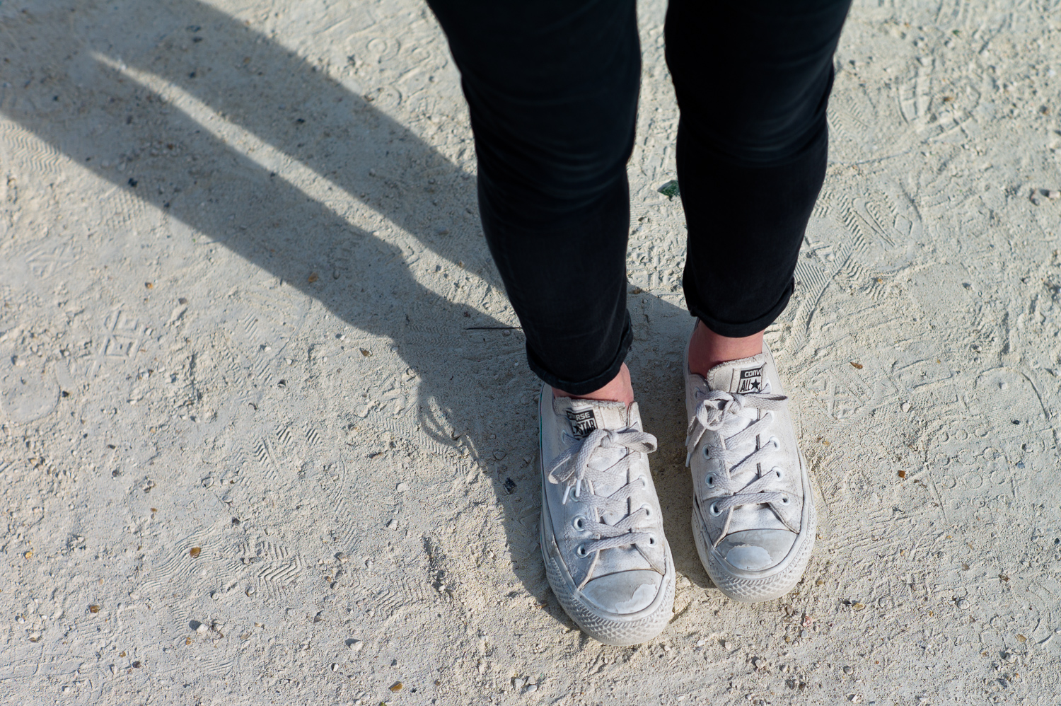 LP14_437_LR 72-90 1500w.jpg