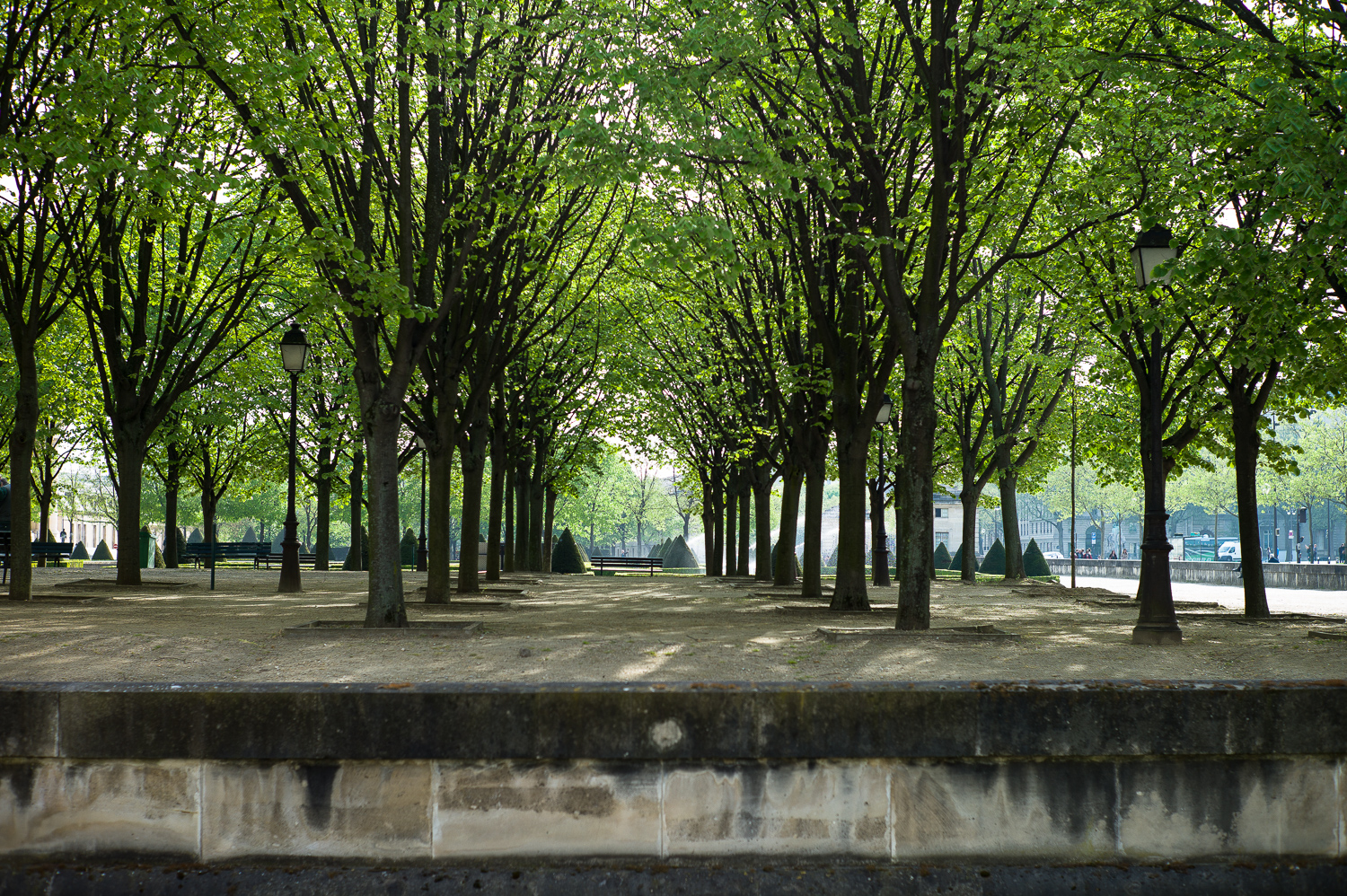 LP14_440_LR 72-90 1500w.jpg