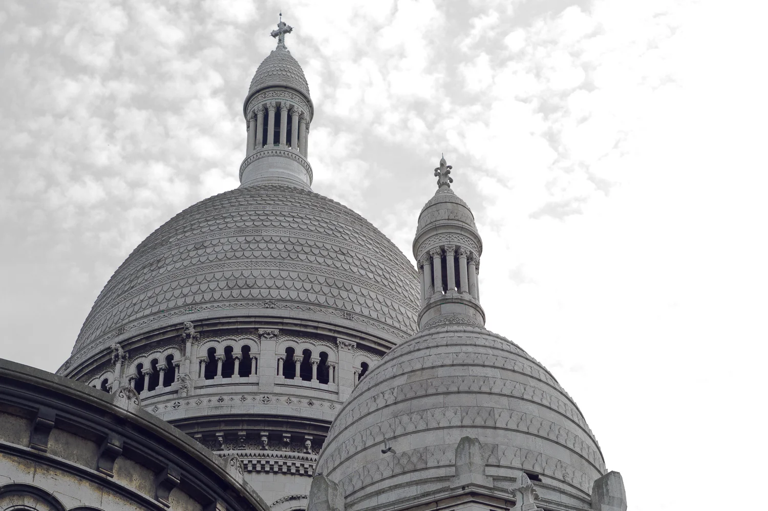 LP14_466_LR 72-90 1500w.jpg