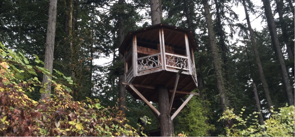 Great Treehouse in Portland Tree. (Courtesy Sophia June )