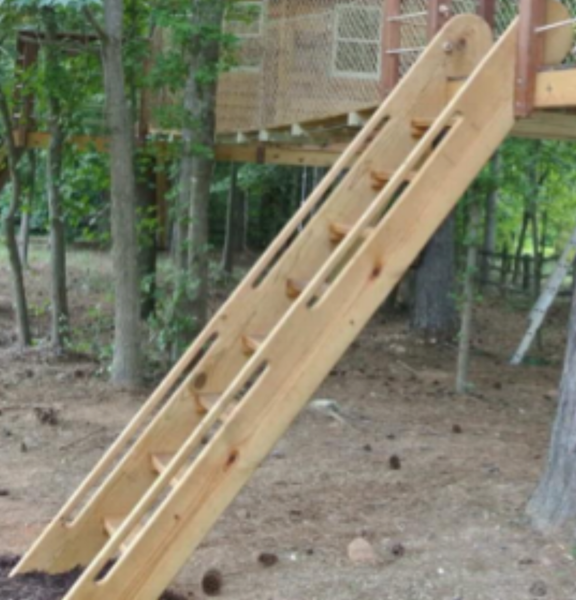 Copy of <strong>Treehouse Access</strong><a href="/access">Find out more »</a>