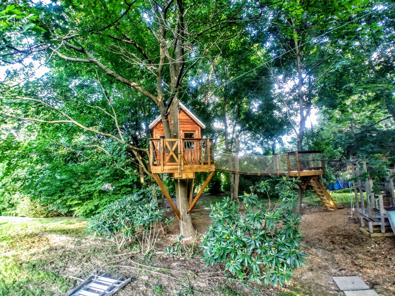 Treehouse 1 view.JPG