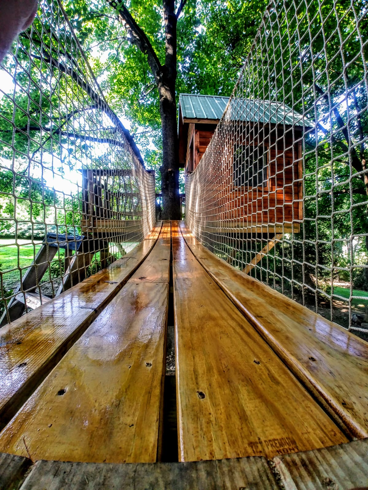 Treehouse Bridge.JPG