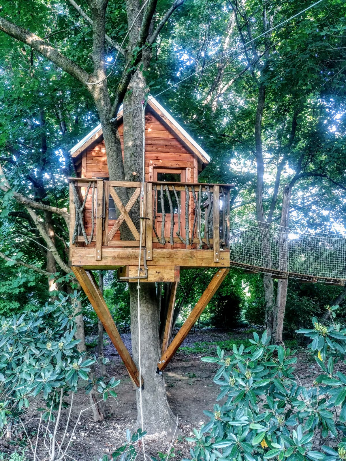 Treehouse 2 view.JPG