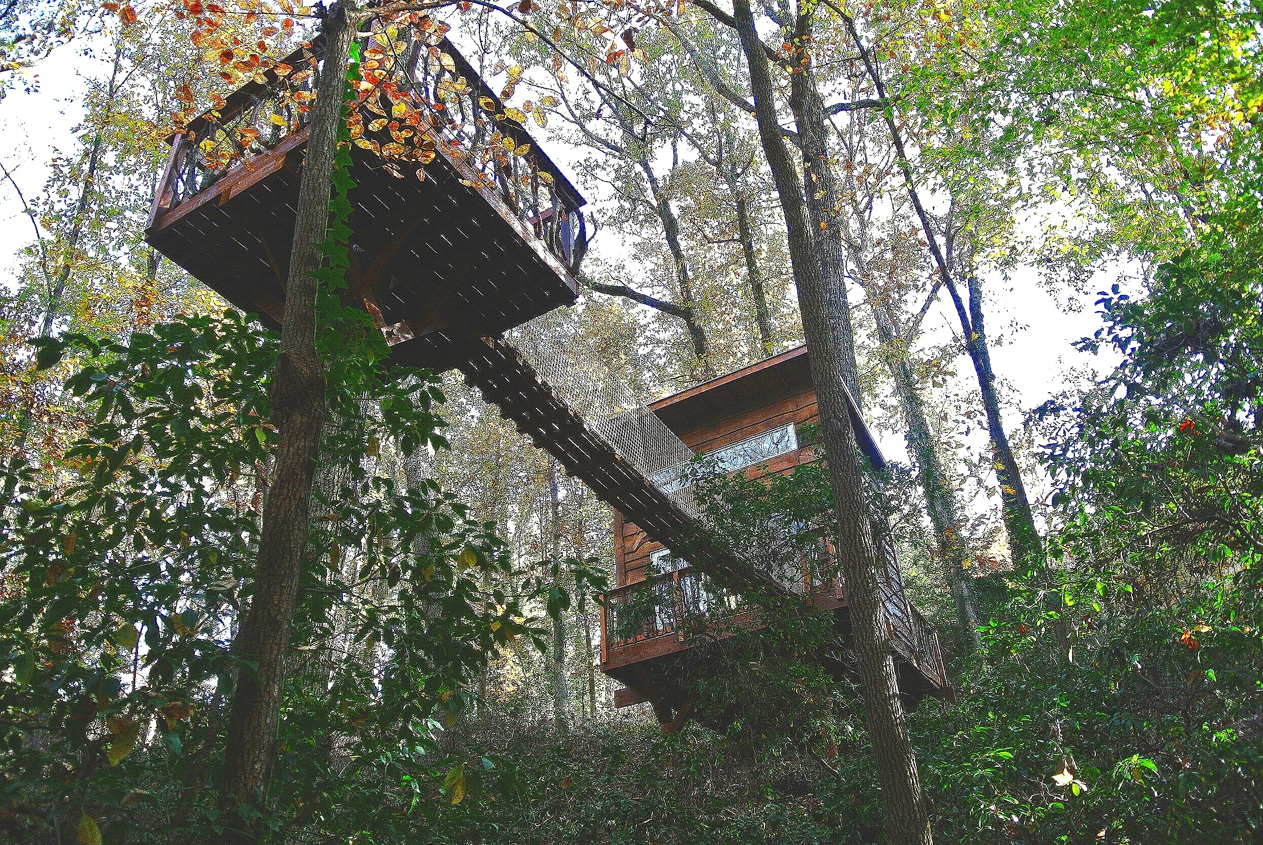 TREEHOUSE%252BFOREST%252BMODERN%252BCLASSIC%252BAIRBNB.jpg