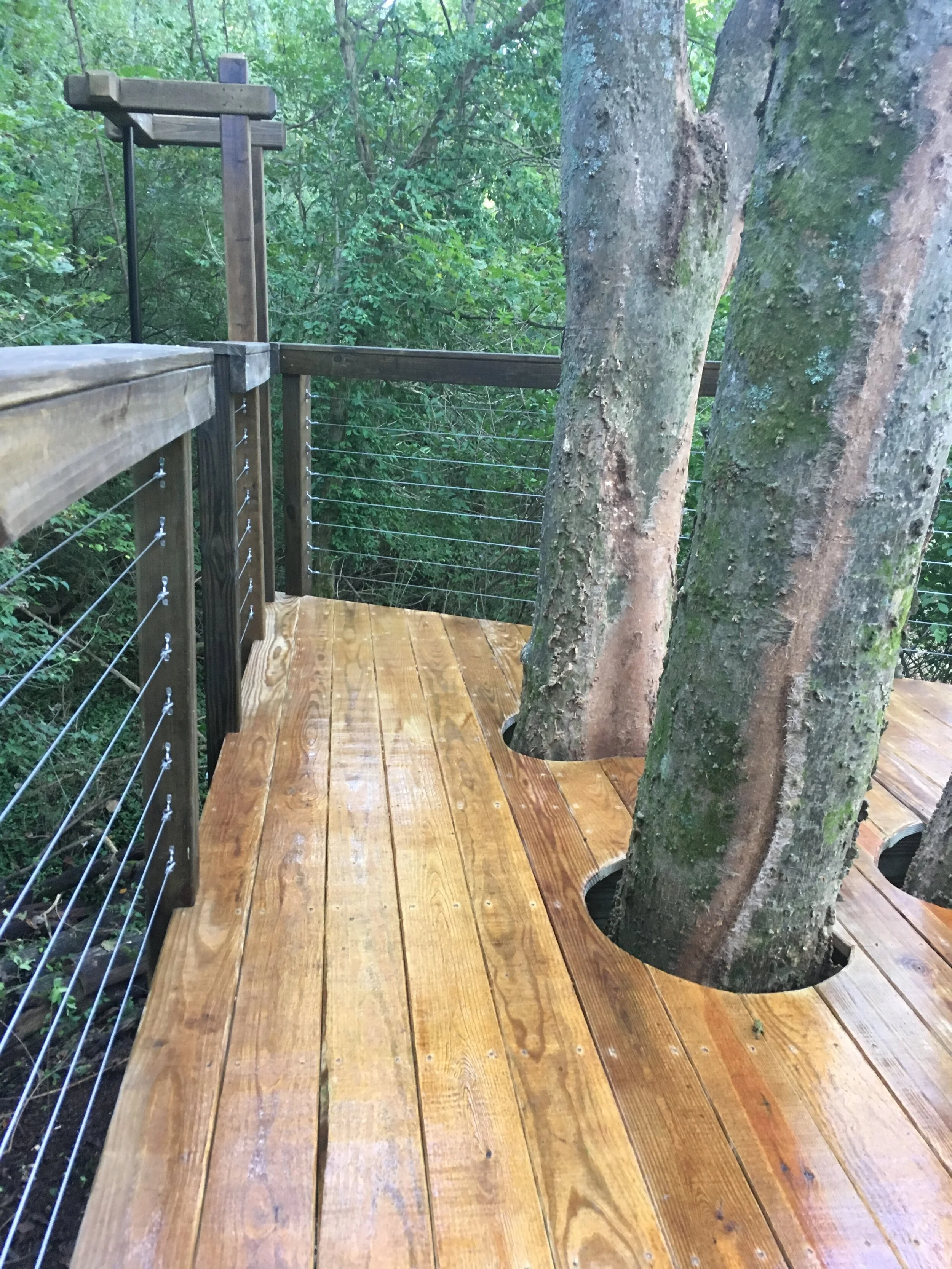 Connected Modern IMG_2331.JPG