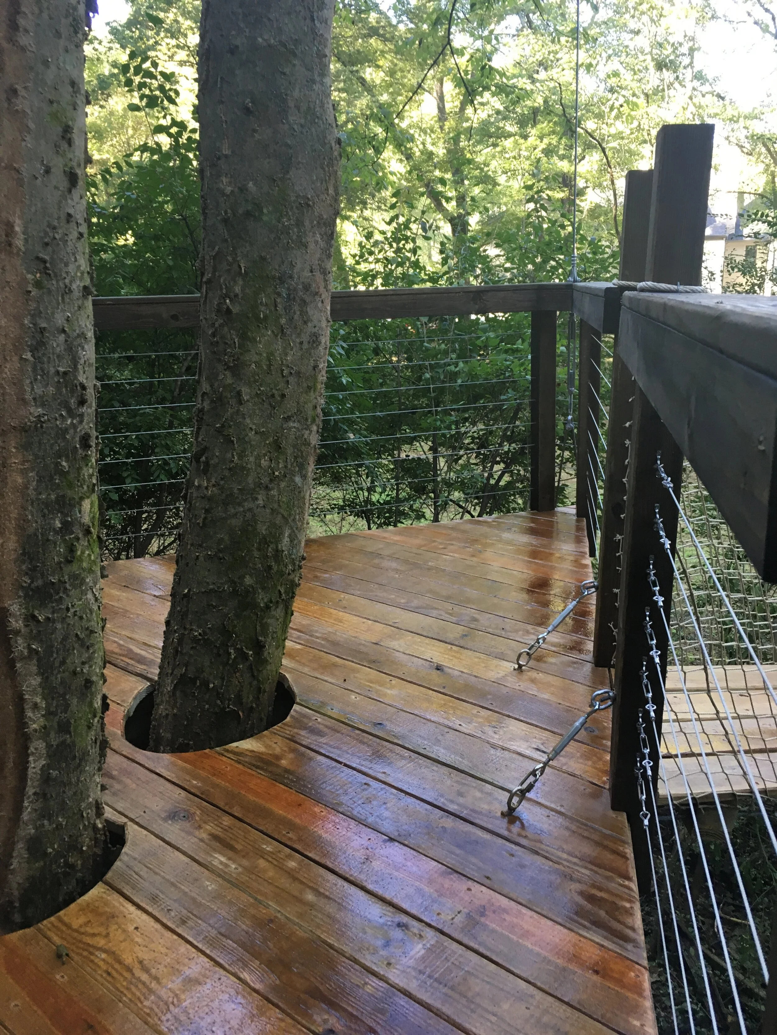 Connected Modern IMG_2332.JPG