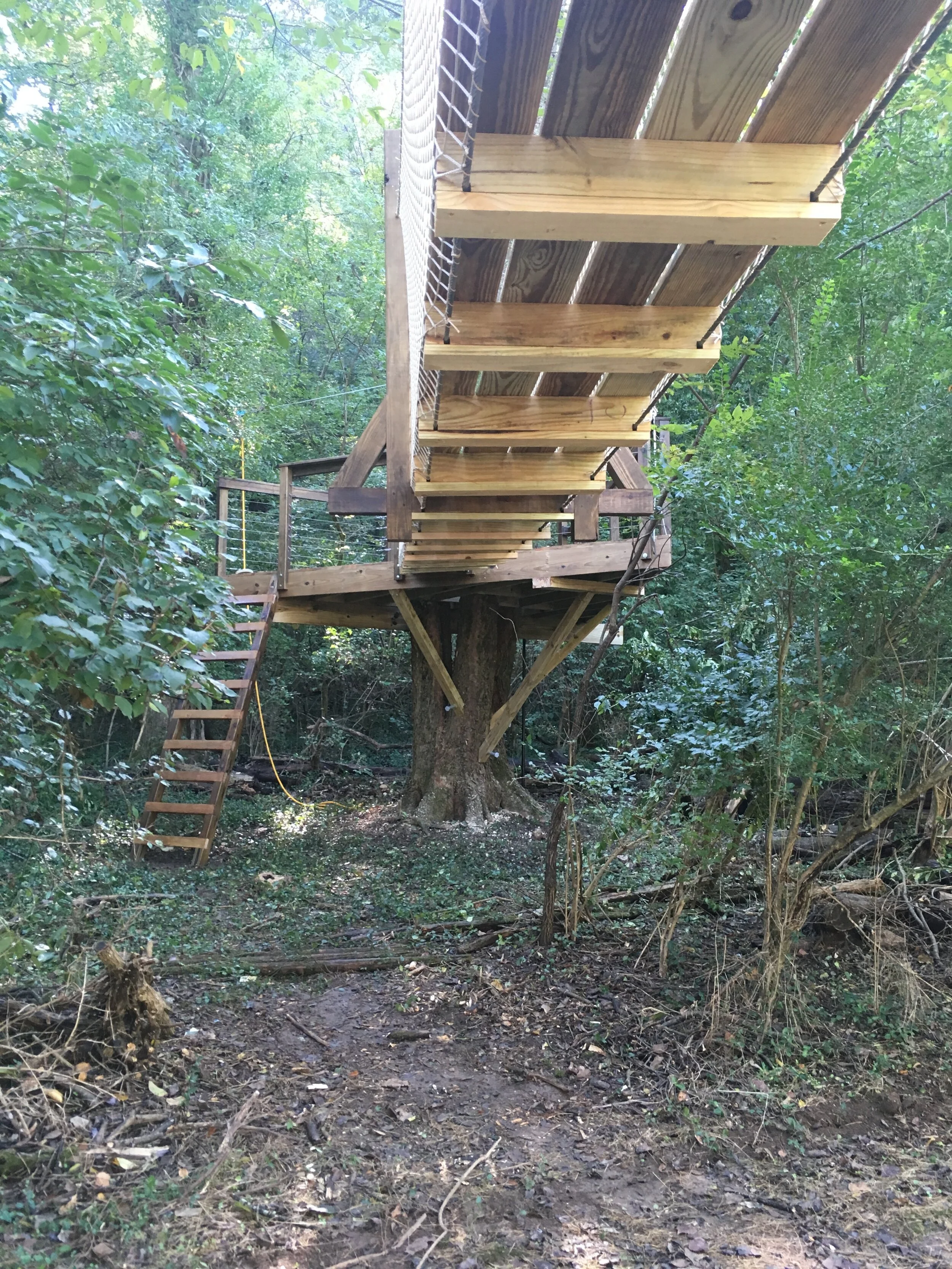 Connected Modern IMG_2341.JPG