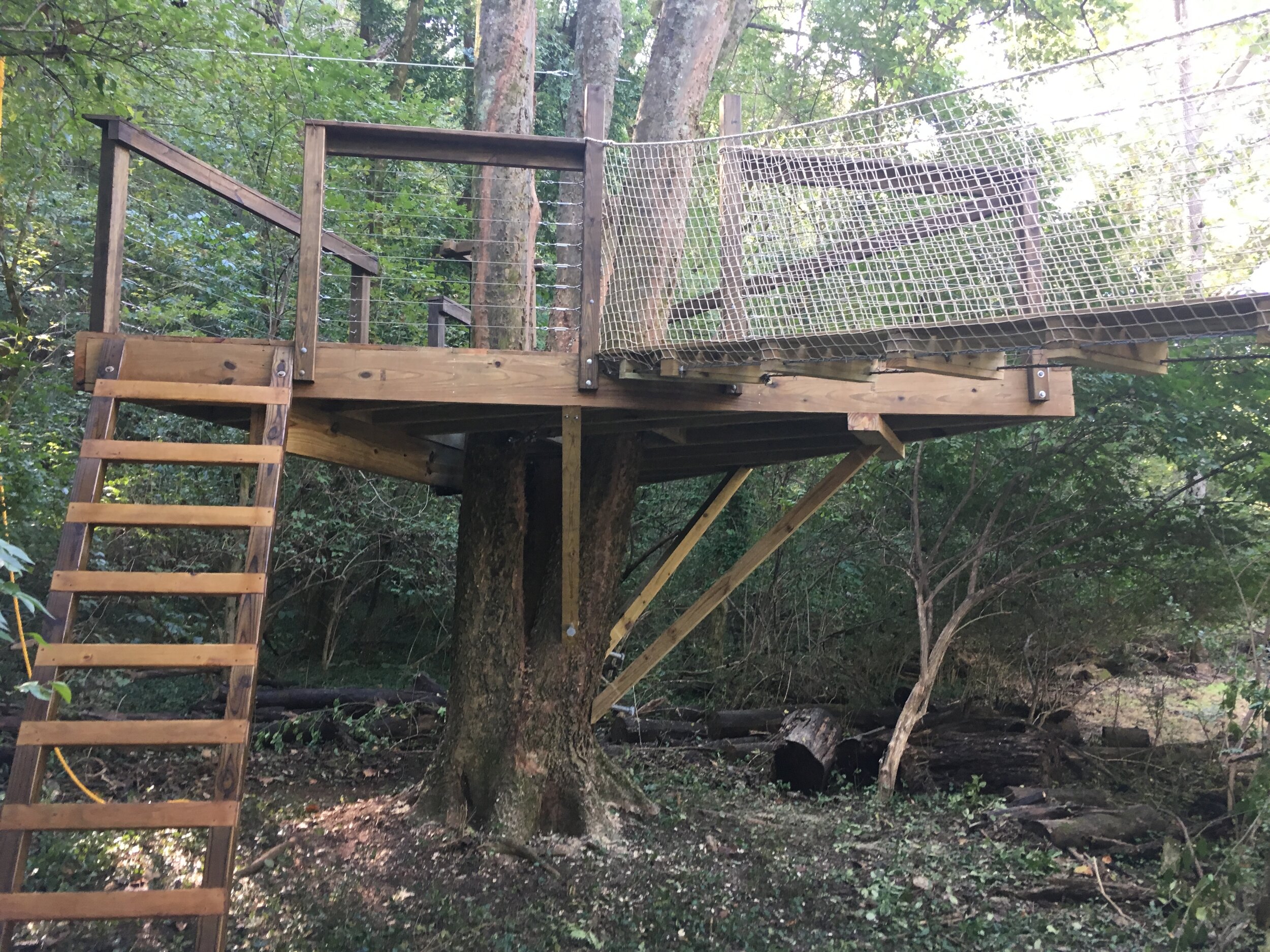 Connected Modern IMG_2342.JPG