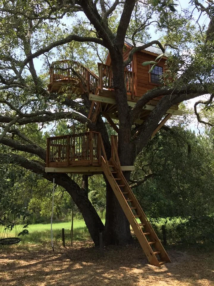 Live Oak Tree Live Oak Treehouse.jpeg